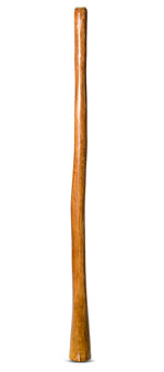 Gloss Finish Didgeridoo (TW764)
